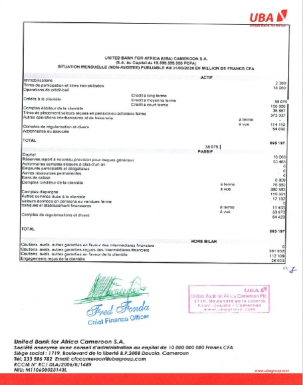 Situation financière publiable 2024